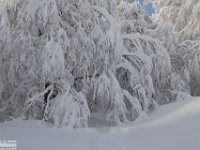 2017-12-29 V. del Morretano 160